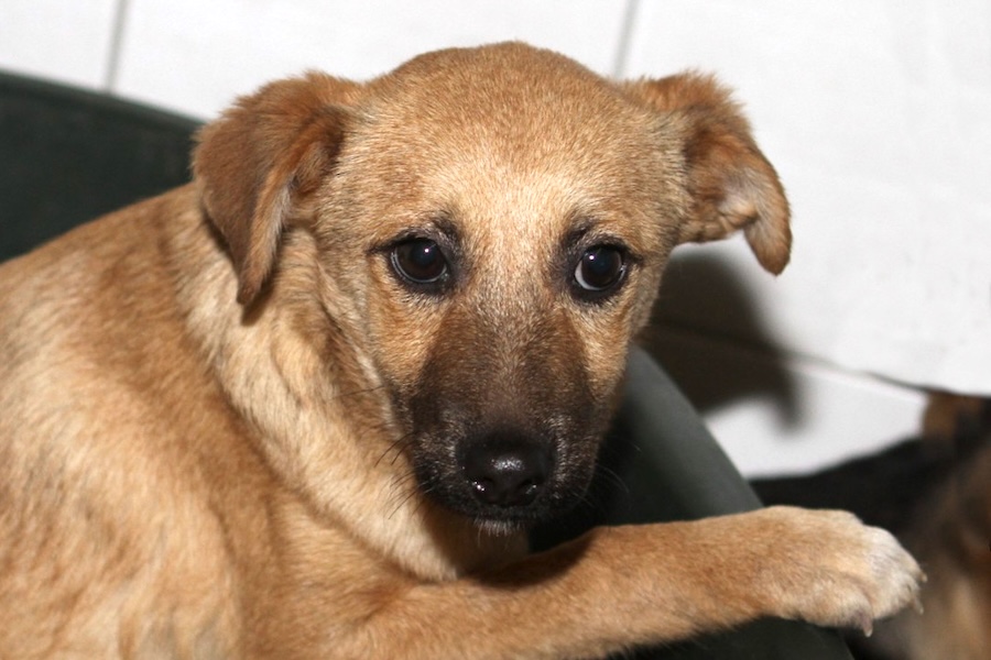 cleo IMG_5962we cleo IMG_5962we