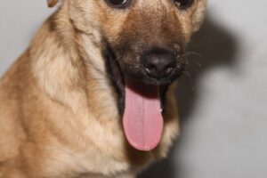 cleo IMG_9250we cleo IMG_9250we