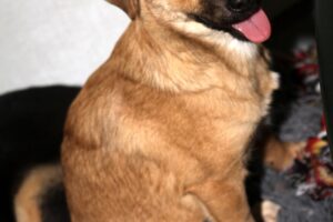 cleo IMG_9256we cleo IMG_9256we