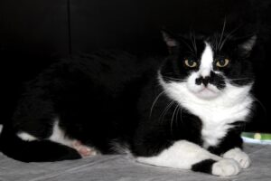 egbert IMG_6526