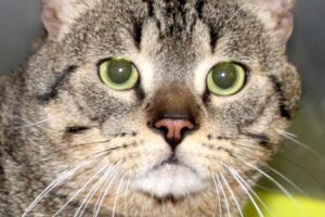 herr kiki IMG_9618we herr kiki IMG_9618we