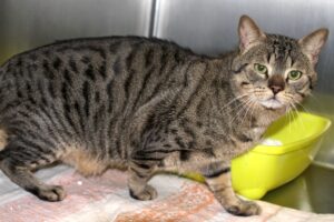 herr kiki IMG_9622we herr kiki IMG_9622we