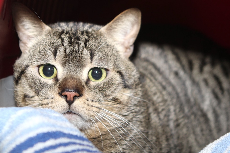 herr kiki IMG_9714we herr kiki IMG_9714we