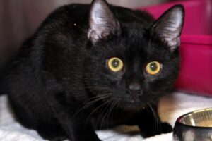 jerry IMG_5770we jerry IMG_5770we