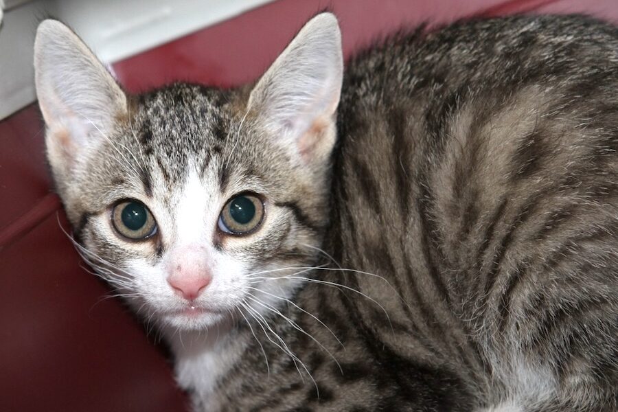 kind 1 web IMG_5653 kind 1 web IMG_5653