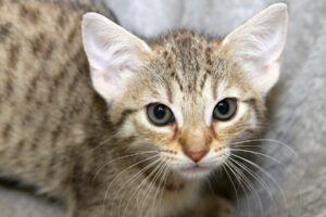 kind 3 web IMG_5657 kind 3 web IMG_5657