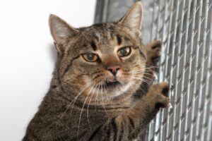 lotte IMG_5723we lotte IMG_5723we