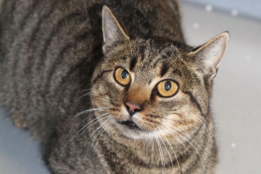 lotte IMG_5728we lotte IMG_5728we