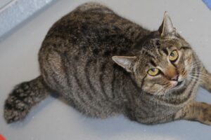 lotte IMG_5730we lotte IMG_5730we