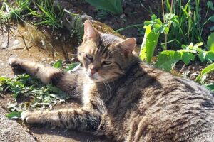 maggie leo von privat 01 maggie leo von privat 01