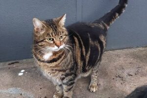 maggie leo von privat 02 maggie leo von privat 02
