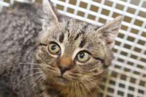 pünktchen IMG_5681we