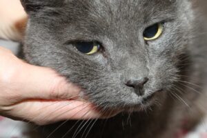 silver IMG_5694we silver IMG_5694we