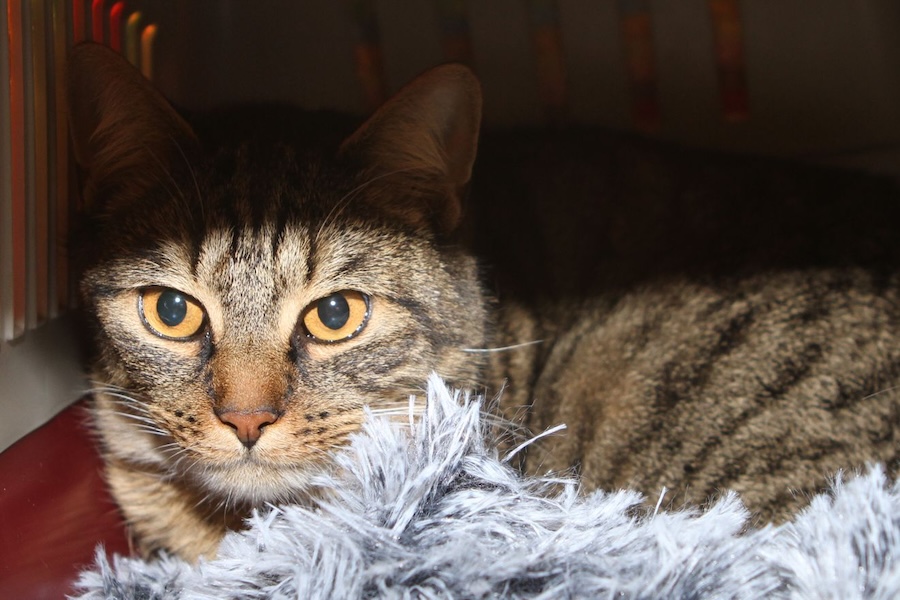 steve IMG_9718we steve IMG_9718we