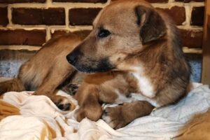 tammo IMG001 tammo IMG001