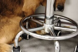 tammo IMG002 tammo IMG002