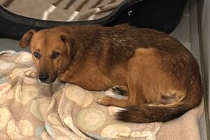 tammo IMG004 tammo IMG004