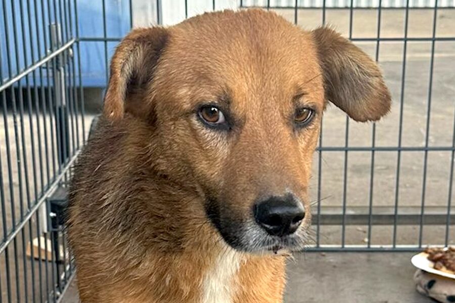 tammo IMG005 tammo IMG005