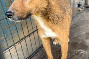 tammo IMG006 tammo IMG006