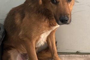 tammo IMG_003 tammo IMG_003