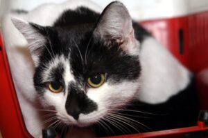 tom IMG_5807we tom IMG_5807we