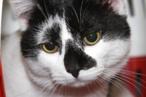 tom IMG_5808we tom IMG_5808we