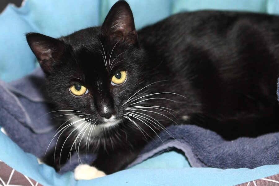 Totchki IMG_0090we Totchki IMG_0090we