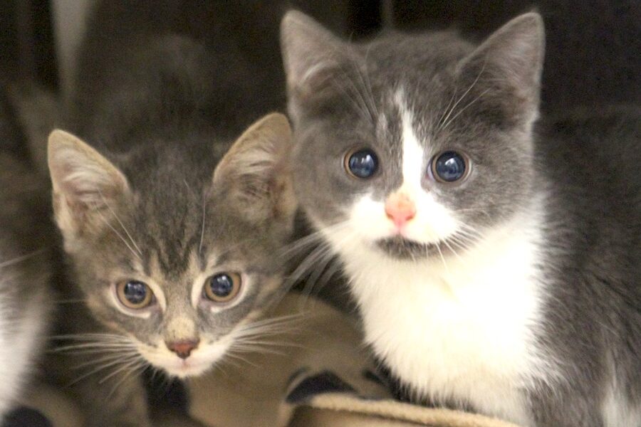 d kinder IMG_0212we d kinder IMG_0212we