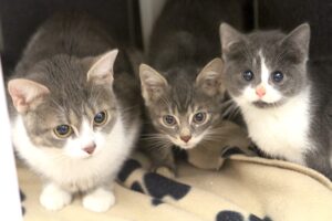 dakota und kinder IMG_0212we dakota und kinder IMG_0212we