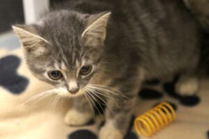 dante IMG_0206we dante IMG_0206we