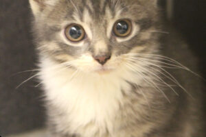 dante IMG_0222we dante IMG_0222we