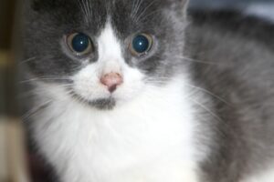 daphneIMG_0251we daphneIMG_0251we