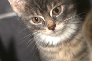 demon MG_0255we demon MG_0255we