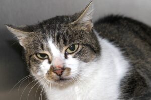 dobbie IMG_0281we