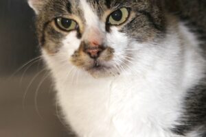 dobbie IMG_0282we
