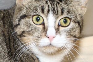 emilia IMG_9827we emilia IMG_9827we