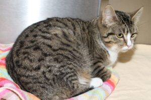 emilia IMG_9828we emilia IMG_9828we