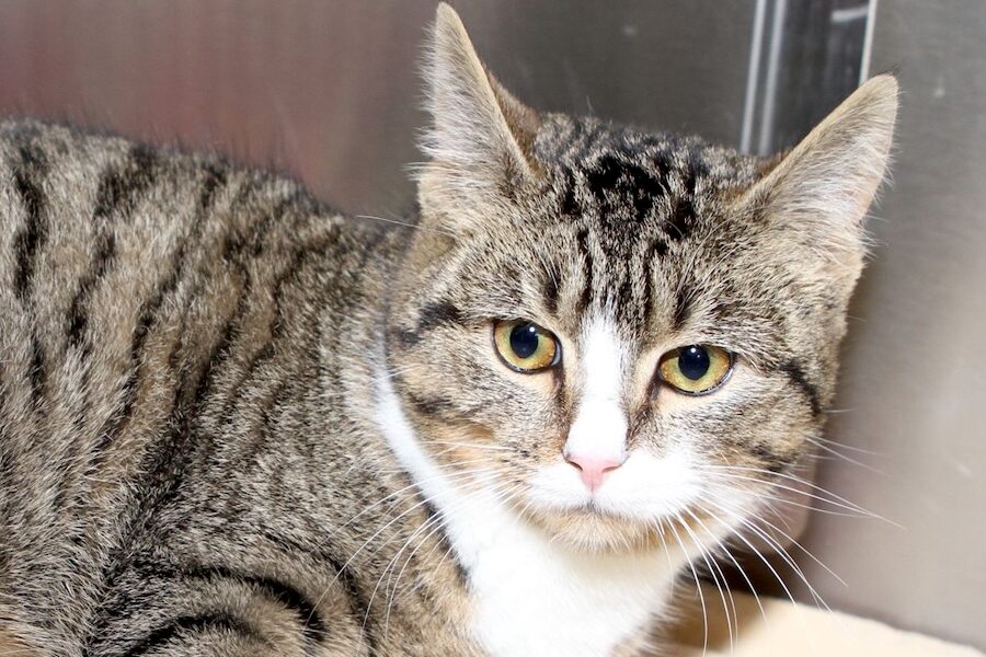 emilia IMG_9830we emilia IMG_9830we