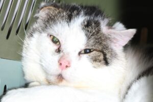 gustav IMG_9897we