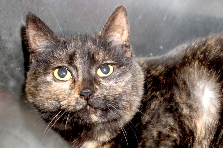 julia IMG_0292we julia IMG_0292we