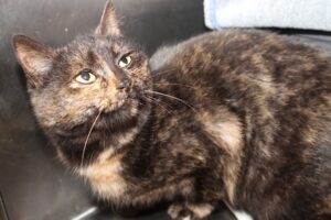 juliaIMG_0300we juliaIMG_0300we