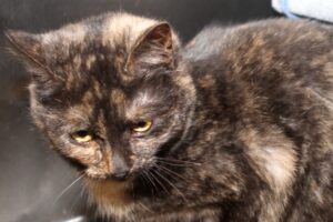 juliaIMG_0301we juliaIMG_0301we