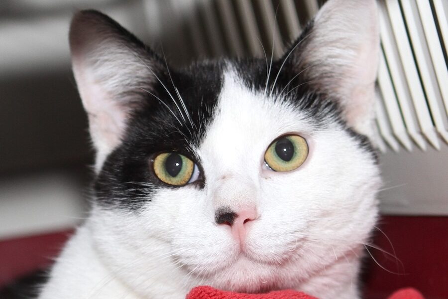 matteo IMG_0100we matteo IMG_0100we