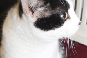 matteo IMG_0267we matteo IMG_0267we