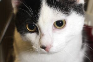 matteo IMG_0269we matteo IMG_0269we