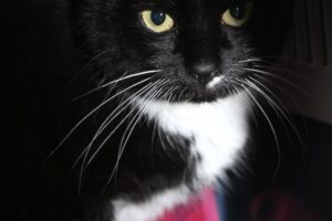 sarah IMG_9932