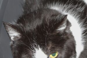 unica IMG_9962we