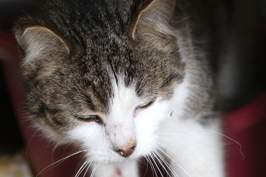 viviana IMG_9907we viviana IMG_9907we