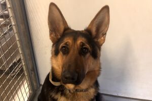 bella IMG_1002
