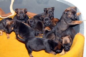 chelsea mit 10 kindern IMG_9950we